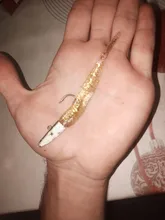 Dart Worm Jighead Spinning-Fishing-Lure Soft-Bait Artificial-Tackle Saltwater Sea-Bass