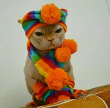 Pet-Puppy-Accessories Socks Hats Cat-Products Dogs-Knitted Small Chihuahua Little Winter