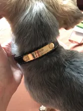 Pawstrip grabado Collar de perros de piel sintética Etiqueta de mascota Collar para perros Bulldog francés Pitbull, perro grande Collar de cachorro.