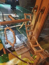 Ladder Playground-Stands Bird-Cage Stand-Play Chew-Toys Parrot Swing Wood Climbing Feeder
