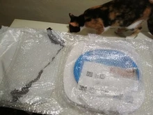 Cat Toilet Litter-Box Puppy-Cat-Litter-Mat Training-Kit Plastic 40--40--3.5cm