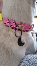 Personalizado etiqueta de perro personalizado Nombre del número de teléfono de mascotas Collar para cachorro perro gato ID etiquetas para el cuello, accesorios para mascotas para perros y gatos pequeños