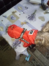 Hoodies Coat Clothing Puppy-Outfit Pet-Dog-Jacket HOOPET Dogs Chihuahua Winter Warm 