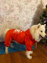 Jacket Rain-Coat Labrador Alaska Puppy-Doberman Waterproof Dogs Large Medium Husky TLC02