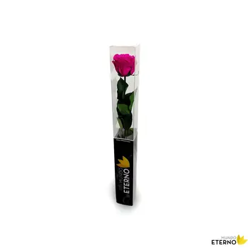

Mundo eternal Rosa Eterna preserved 55cm fuchsia