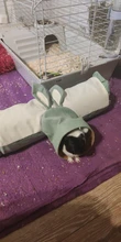 Hamster Tunnel Tube Accessory Hedgehog-Toy Guinea-Pigs Animals Collapsible Small 
