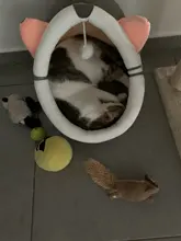 Cat Bed Tent House Cushion Pet-Bed Removable Warm Winter with Collapsible Xmas