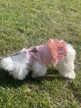 Warm Pet Dog Dress Vest Jacket For Dogs Cats Winter Chihuahua Yorkies Clothes Maltese