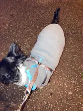 Coat-Jackets Fleece Vest Pug-Costumes Dogs French-Bulldog Chihuahua Winter Small Medium