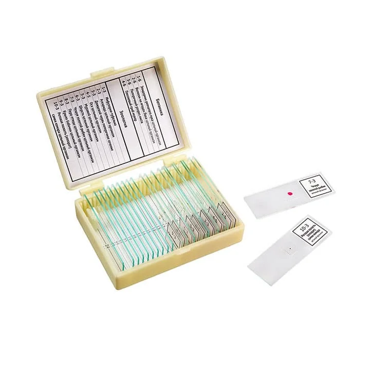 Микропрепараты Ботаника и Зоология Микромед (14 обр.) | Инструменты