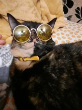 Id-Tag Bell Kitten Necklace Neck-Band Cat-Collar Name Personalized For Cats Puppies Engraving