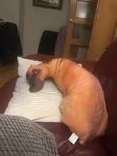 Cojín con estampado de perro 3D divertido, cojín creativo, muñeca de peluche regalo, decoración del hogar, cojín con estampado de perro para niños