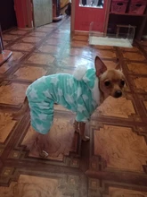 Pijamas de perros para otoño e invierno, Mono para perros pequeños, jerseys Shih Tzu Yorkshire, ropa de lana suave para cachorros y gatos