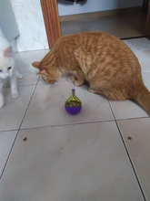 Bowl Feeder Food-Ball Tumbler Pets-Supplies Leakage Feeding-Toys Training Cat Exercise