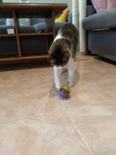 Bowl Feeder Food-Ball Tumbler Pets-Supplies Leakage Feeding-Toys Training Cat Exercise