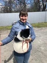 Hecho a mano para mascotas perro al aire libre de viaje bolso de la lona de un solo hombro bolso comodidad de viaje Bolso grande de hombro transpirable