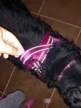 No-¡perro arnés reflectante ajustable de franela acolchada pequeño, mediano y grande arnés tipo chaleco para perro fácil para caminar de formación