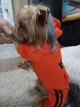 Jumpsuit Clothing Hoodies Jacket Pet-Dog-Coats Small Dogs Sport Apparel Winter Fashion