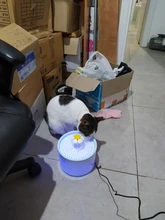 2.4L Automatic Cat Water Fountain LED Electric Mute Water Feeder USB Dog Pet Drinker