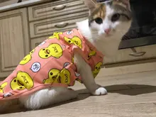 Ropa con estampado de patos para perros pequeños, Camiseta de algodón para cachorros y gatos, chaleco, camisas con perro Chihuahua