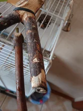 Ave loro barra de soporte juguete loro morder masticar juguetes columpio Resto de mascotas juguete artículos para aves Envío Directo