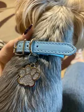 Cuero de la PU de Collar para perros mascotas Color puro ajustable suave Grande Mediano pequeño cuello de perros Correa cachorro gato suministros Asccessories collares