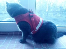 Arnés y correa reflectantes para gato, ropa transpirable a prueba de Escape para mascotas, chaleco ajustable de fácil Control