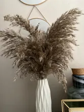 Pampas-Grass Reed Flower Wedding-Decoration Bunch Light-Color Natural Dried Christmas