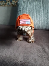 Jumpsuit Clothing Hoodies Jacket Pet-Dog-Coats Small Dogs Sport Apparel Winter Fashion