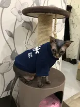 Invierno ropa para gato mascotas ropa de cachorros y perros sudaderas con capucha para pequeño mediano perros gato gatito Kitty trajes gatos abrigos chaquetas trajes