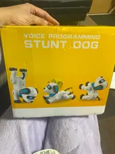 LE NENG-Perro Robot electrónico K21 para niños, juguete de Perro Robot con Control remoto, música, Control por voz, juguete bailarín, regalo de cumpleaños