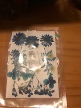 Pegatinas de flores naturales de resina UV para decoración de joyas, adhesivos de belleza seca para Resina epoxi DIY, 1 paquete