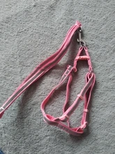 Arnés para perro o gato ajustable, reflectante, para gatos, exteriores, para perros pequeños, para caminar, Chihuahua, Terier