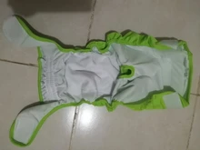 Pet-Physiological-Pants Underwear Diapers Dog Washable Female Short Puppy for Small Doggie