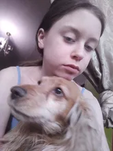 Lentillas de colores para ojos, Navidad, suaves, superdelgados, para acuarios, belleza para ojos, azul, marrón