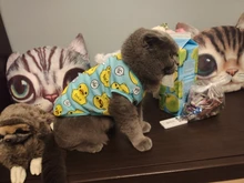 Ropa con estampado de patos para perros pequeños, Camiseta de algodón para cachorros y gatos, chaleco, camisas con perro Chihuahua