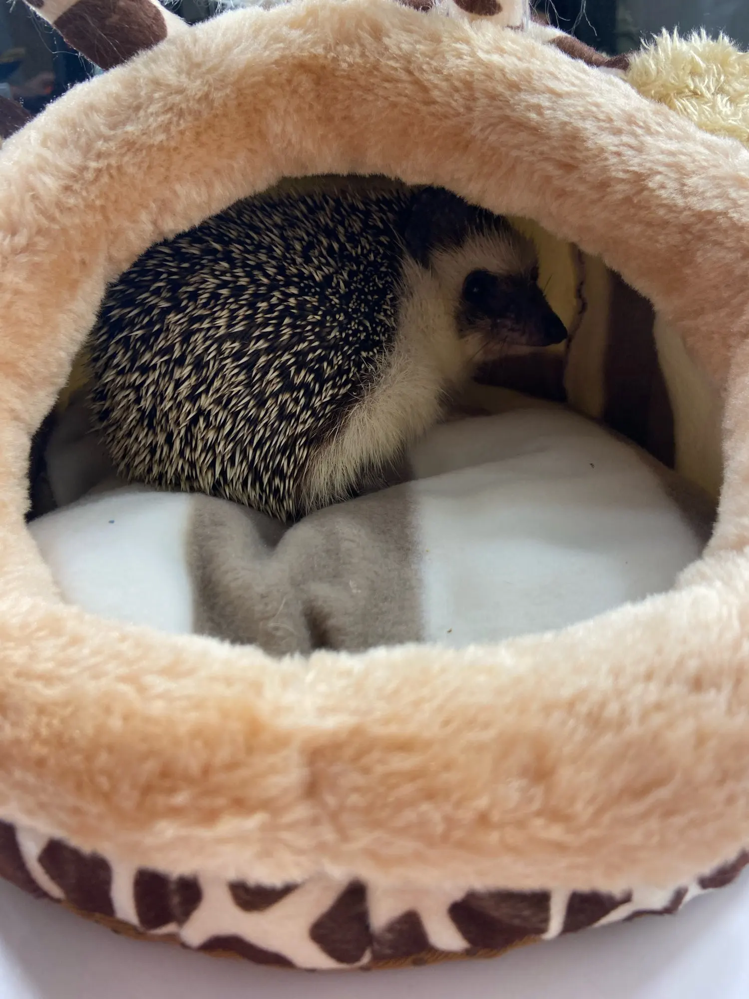 Cute Plush Warm House/Bed For Hedgehogs