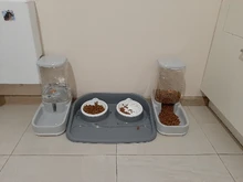 Cat-Feeding-Bowls Feeders Fountain-Bottle Dog-Water-Dispenser Dog Automatic Drinking