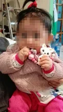 Juego de cuentas de silicona para dentición de roedores, sin BPA, Fox Rabbit, accesorios para manualidades, Clips de cadena de chupete, collar para niños, 1 Set
