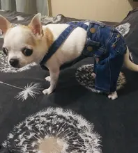 Jeans Clothing Jacket Coat Dog-Costume Puppy Dogs Small Denim Pet Medium for Chihuahua