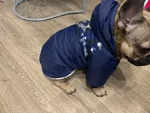 Pet-Dog-Clothes Clothing Coat Jacket Outfit Pets-Puppy-Costume French Bulldog Small Dogs