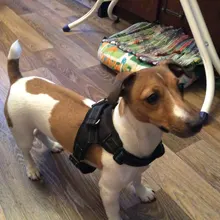 Durable Reflective Pet Dog Harness For Dogs Adjustable Big Dog Harness Pet Walking Harness