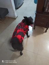 Vest Coat Jacket Pet-Dog-Clothes French-Bulldog-Pet Dogs Small Waterproof Large Winter