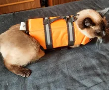 Chaleco Salvavidas para perro, chaqueta Salvavidas para mascota, ropa de seguridad, traje de baño para mascotas, Chaleco de seguridad para verano