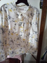 Blusa de chifón con manga larga para otoño, camisa con estampado Floral para Mujer, 2018