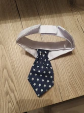 [MPK Store] Cat Toy Cat Costume Clip Tie for Cats and Dogs, Cat Collar