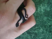 1 Uds estereoscópica nuevo Retro Punk muy grandes anillo de serpiente de la personalidad de la moda serpiente anillo ajustable con apertura de la joyería como regalo