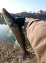 Bearing-Shaft Pillow Block-Housing Kp001 Kfl001 Kp08 Steel 8mm 10mm Axk 12mm Zinc-Alloy