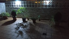 Solar-Light Garden-Decoration Motion-Sensor Outdoor Waterproof 100 Led 144 PIR 