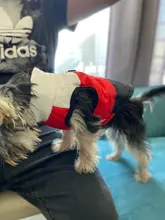 Ropa cálida para perros pequeños, abrigo para perros a prueba de viento, chaqueta acolchada, atuendo con chaleco, ropa para Chihuahua y Yorkshire 35
